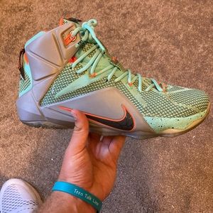 Lebron 12 NSRL